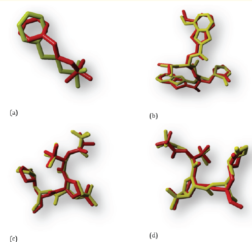 Figure 2: Results of native ligand (yellow) overlaps with the unredocking native ligand (red) at the 5R7Y (a), 7JKV (b), 7TLL (c), and
7VH8 (d) receptors.
