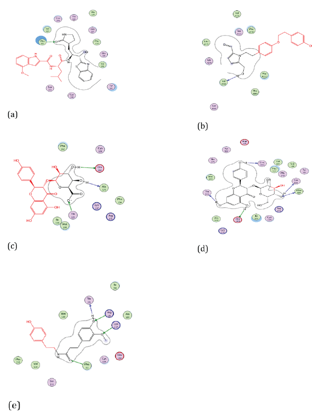 Figure 4: Docking visualization of native ligand (a), Cissampeline (b), Kaempferol-3-O-β-D-Glucopyranoside (c), Kaempferol-3-O-β-DGlucuronopyranoside
(d), and Trans-N-Feruloyltyramine (e) with 7JKV.