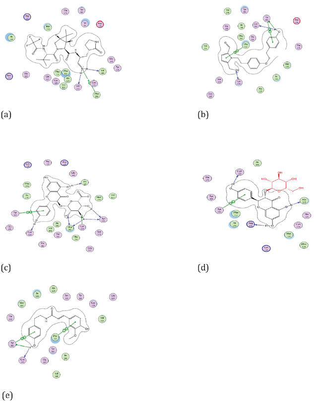 Figure 5: Docking visualization of native ligand (a), Cissampeline (b), Kaempferol-3-O-β-D-Glucopyranoside (c), Kaempferol-3-O-β-DGlucuronopyranoside
(d), and Trans-N-Feruloyltyramine (e) with 7TLL.