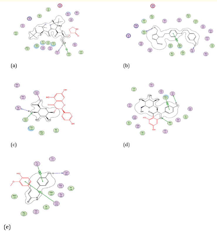 Figure 6: Docking visualization of native ligand (a), Cissampeline (b), Kaempferol-3-O-β-D-Glucopyranoside (c), Kaempferol-3-O-β-DGlucuronopyranoside
(d), and Trans-N-Feruloyltyramine (e) with 7VH8.
