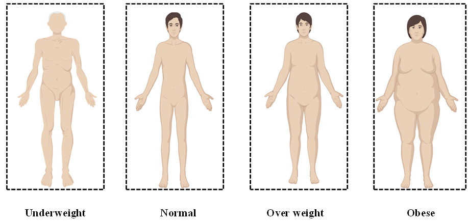 Figure 1: Classification of BMI.