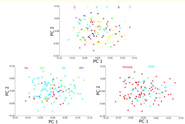 Figure 5: Scatter plot of principal component analysis (PCA)
showing the distribution of scales by gender, age, and season.