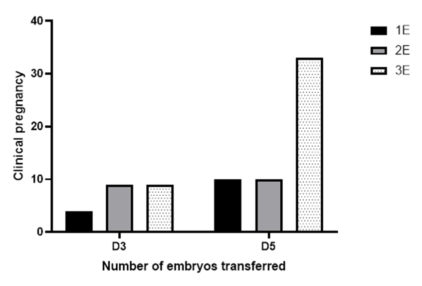 Figure 3: A forest plot diagram showing the odds ratios for the relationship between the maternal age, number of D5 embryos, and pregnancy outcomes.