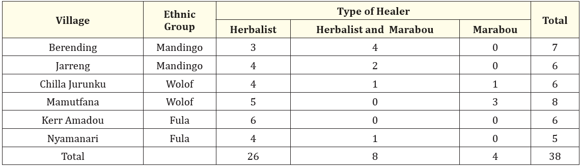 Table 2: Distribution of healers by village, type of healer, and ethnicity.